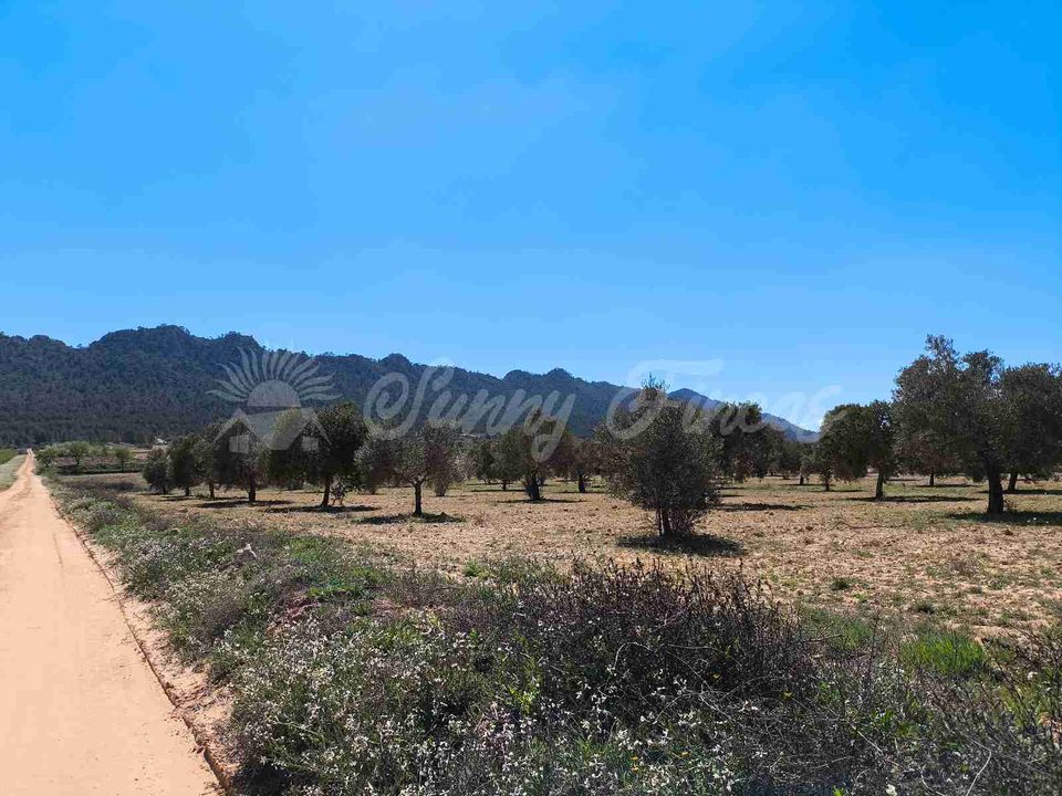 Helårsgrund i Yecla, Murcia - foto 5